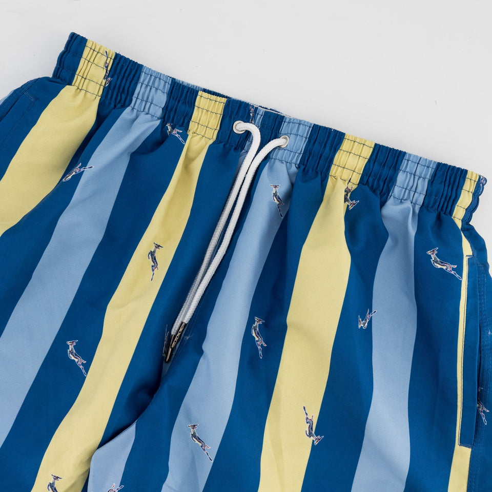 Springboks Candy Stripe SB Print Swim Shorts - Skyway