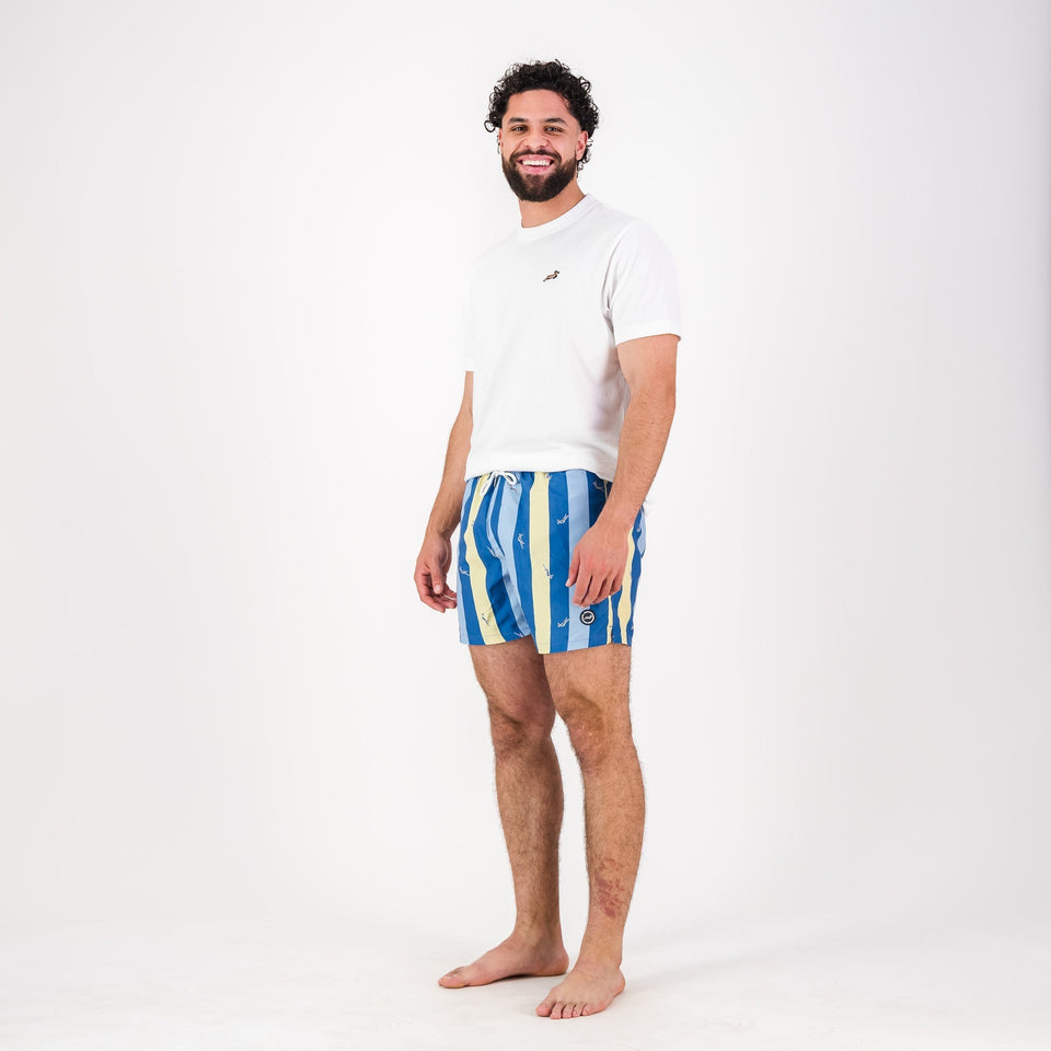 Springboks Candy Stripe SB Print Swim Shorts - Skyway