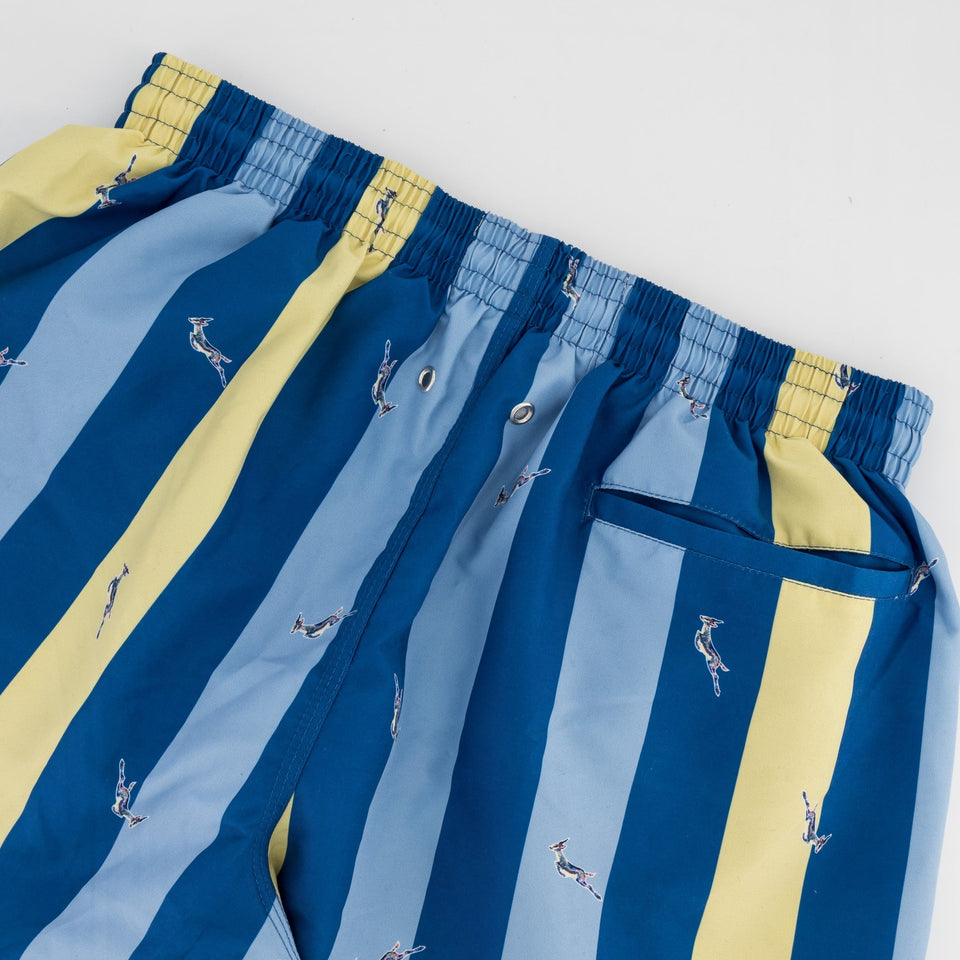 Springboks Candy Stripe SB Print Swim Shorts - Skyway