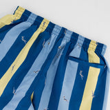 Springboks Candy Stripe SB Print Swim Shorts - Skyway