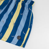 Springboks Candy Stripe SB Print Swim Shorts - Skyway