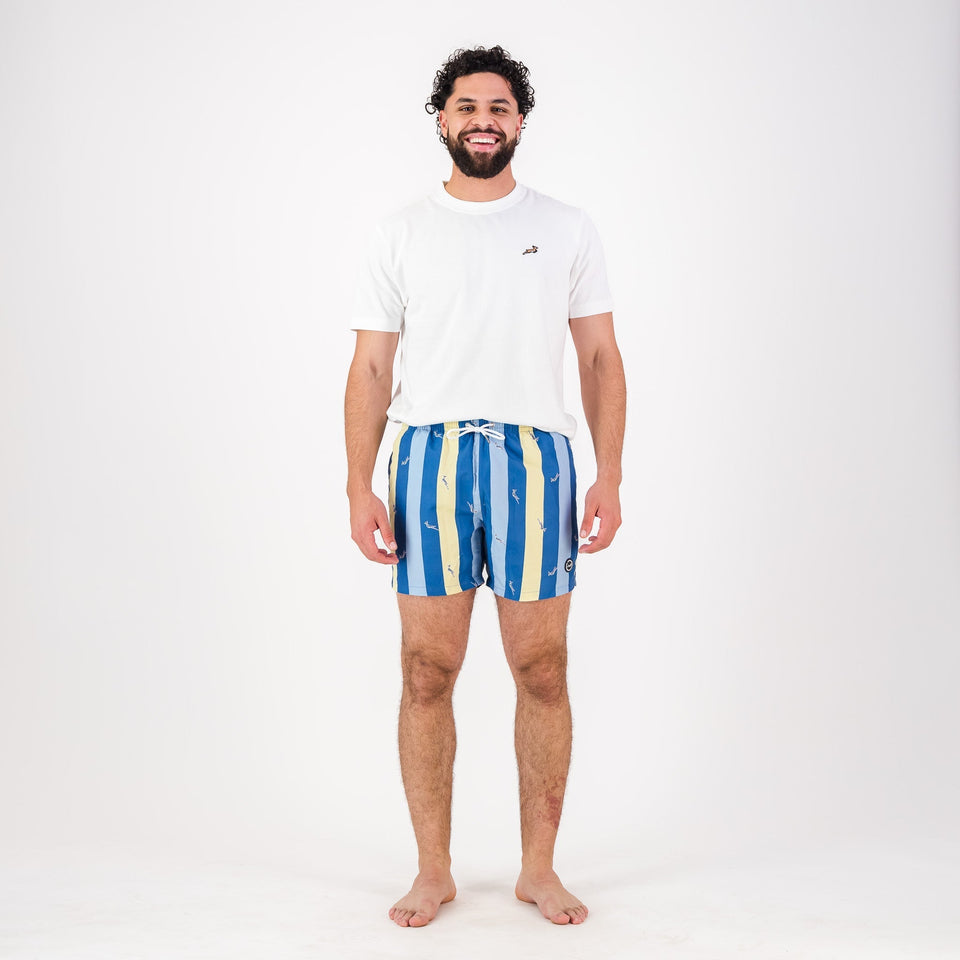 Springboks Candy Stripe SB Print Swim Shorts - Skyway