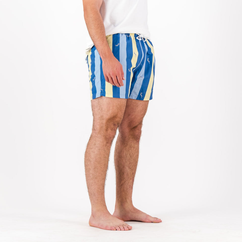 Springboks Candy Stripe SB Print Swim Shorts - Skyway