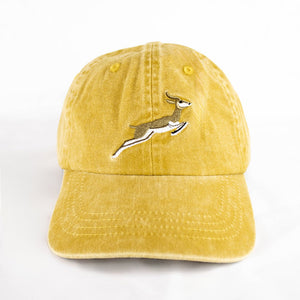 Springboks Natural Emb Dad Cap - Mustard