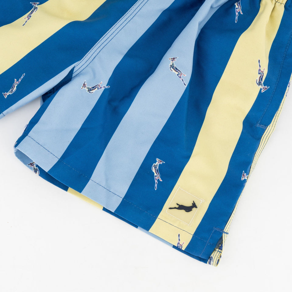 Springboks Stripe Print Kids Swim Shorts - Skyway