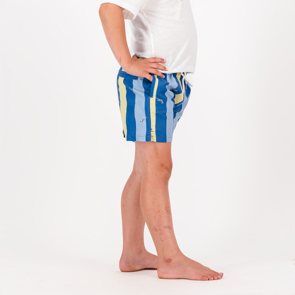 Springboks Stripe Print Kids Swim Shorts - Skyway