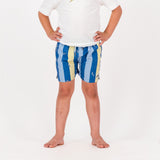 Springboks Stripe Print Kids Swim Shorts - Skyway