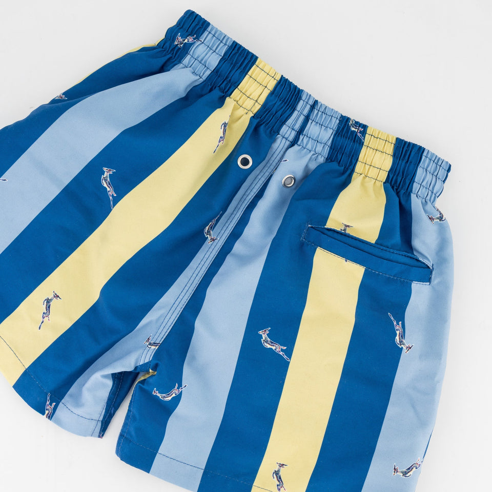 Springboks Stripe Print Kids Swim Shorts - Skyway