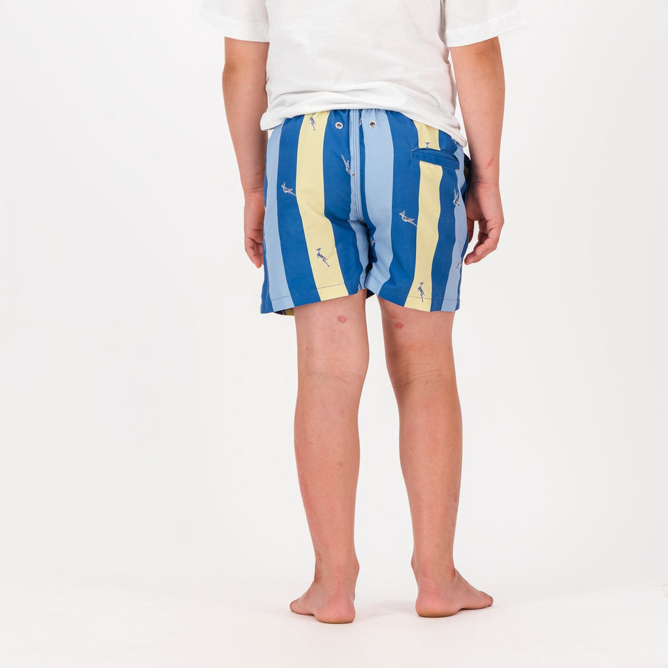 Springboks Stripe Print Kids Swim Shorts - Skyway
