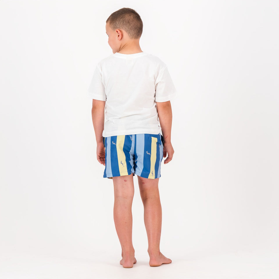 Springboks Stripe Print Kids Swim Shorts - Skyway