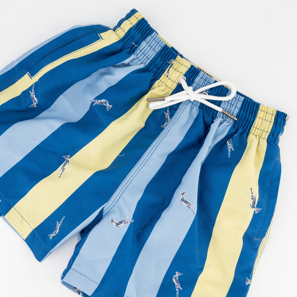 Springboks Stripe Print Kids Swim Shorts - Skyway