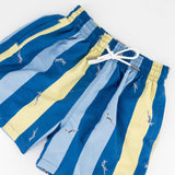 Springboks Stripe Print Kids Swim Shorts - Skyway