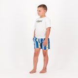 Springboks Stripe Print Kids Swim Shorts - Skyway