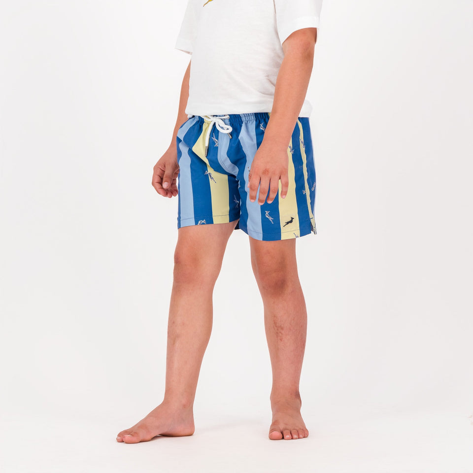 Springboks Stripe Print Kids Swim Shorts - Skyway