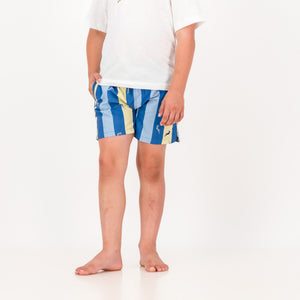Springboks Stripe Print Kids Swim Shorts - Skyway