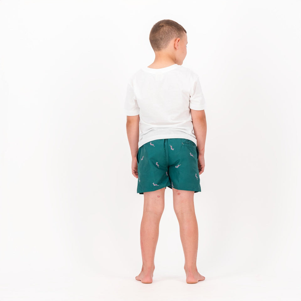 Springboks Summer Pop Print Kids Swim Shorts - Teal