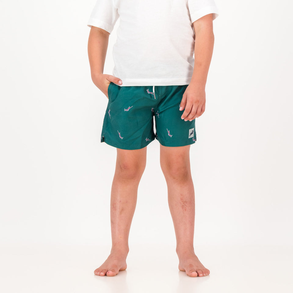Springboks Summer Pop Print Kids Swim Shorts - Teal