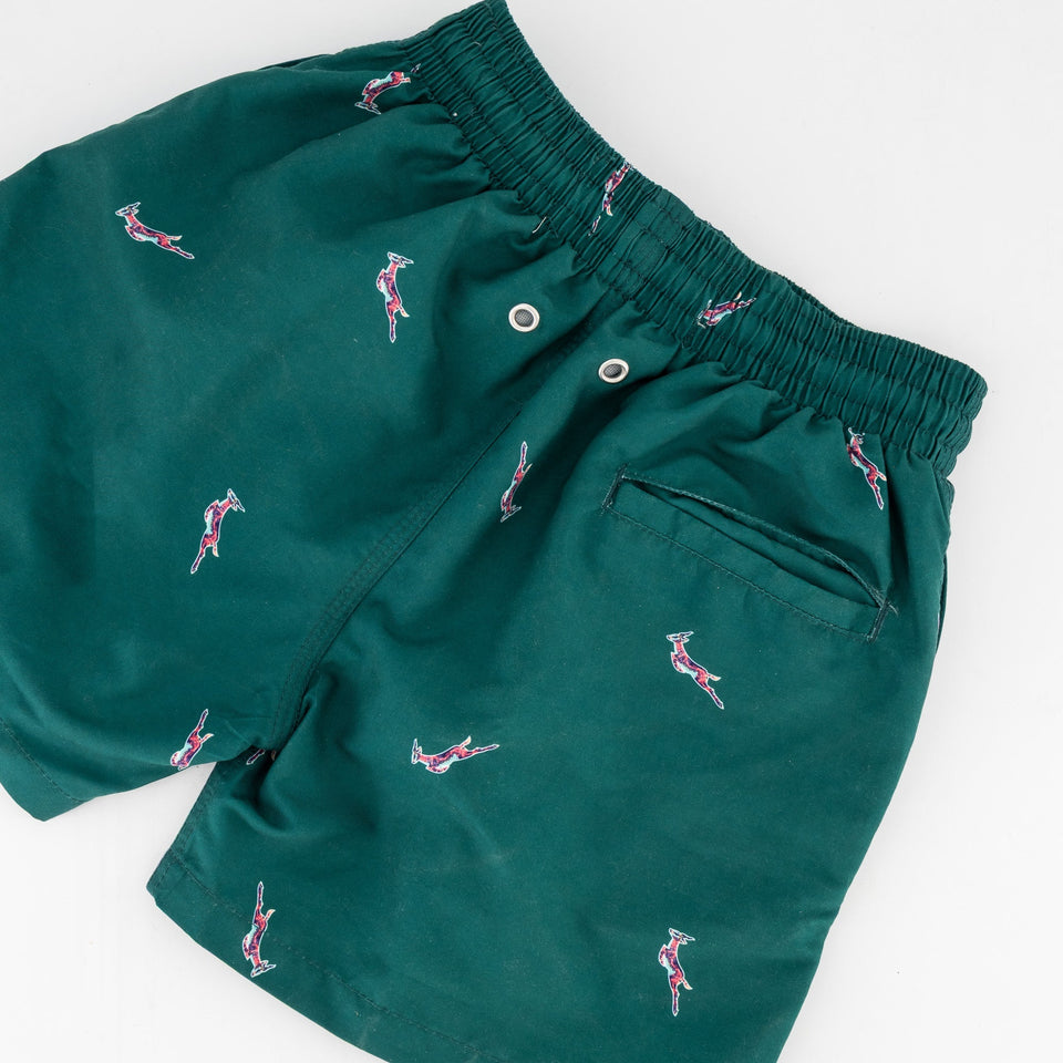 Springboks Summer Pop Print Kids Swim Shorts - Teal