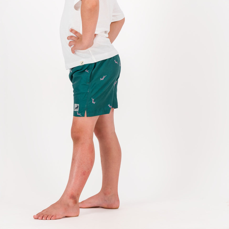 Springboks Summer Pop Print Kids Swim Shorts - Teal