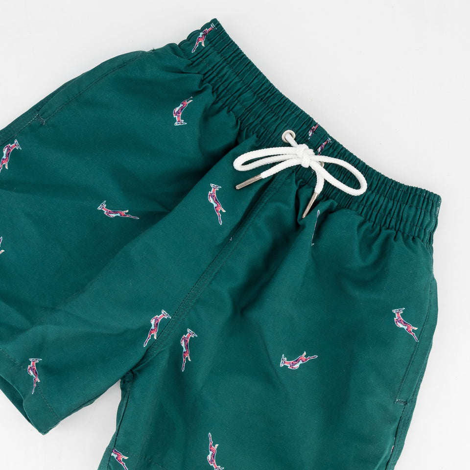 Springboks Summer Pop Print Kids Swim Shorts - Teal