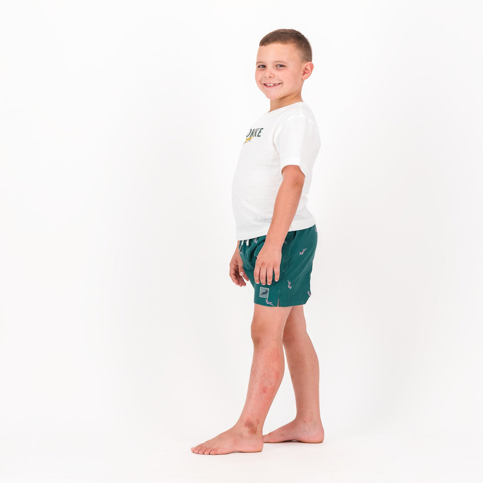 Springboks Summer Pop Print Kids Swim Shorts - Teal