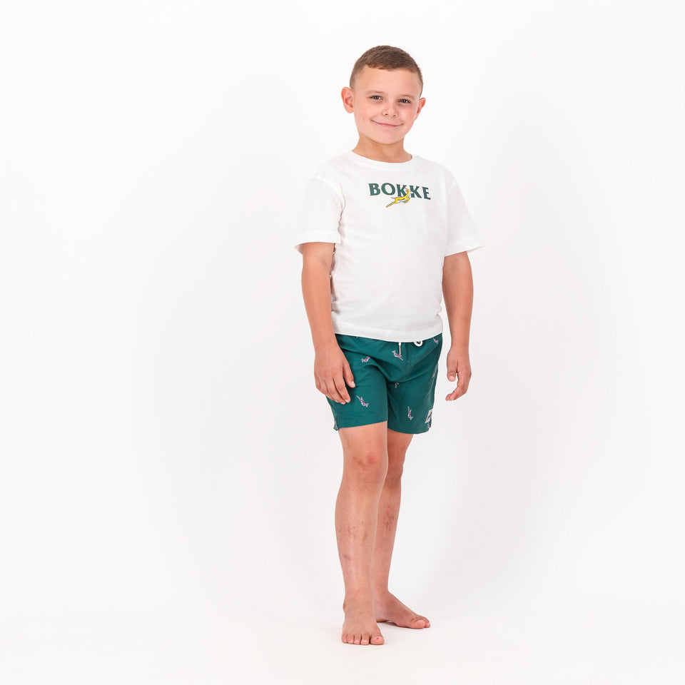 Springboks Summer Pop Print Kids Swim Shorts - Teal