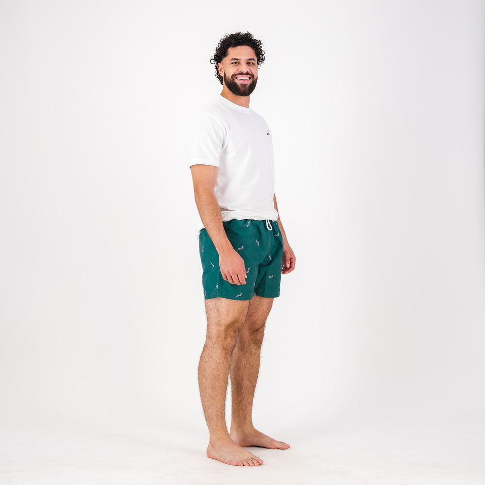 Springboks Summer Pop Print Swim Shorts - Teal